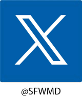 X icon