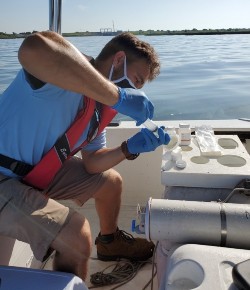 algae testing