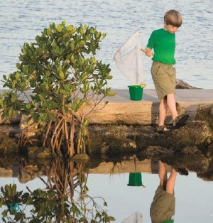 boy fishing with net