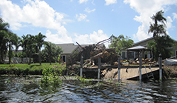 Click for photo of a tree and dock along the C-15 Canal brought down by Hurricane Irma