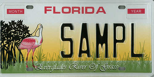 license plate