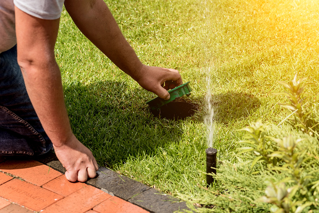 lawn watering restrictions