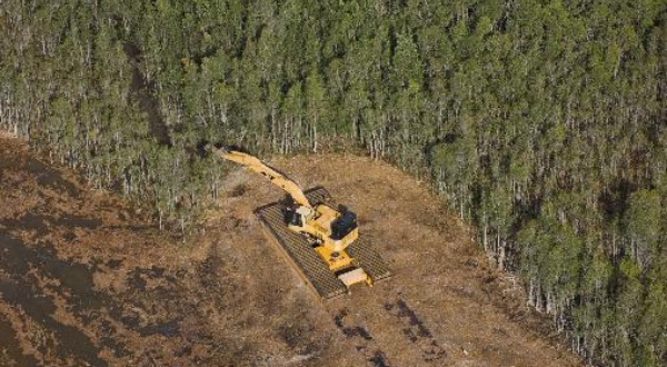 aerial view of vehicle in field