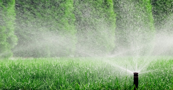 Irrigation sprinkler spraying water across a grassy area
