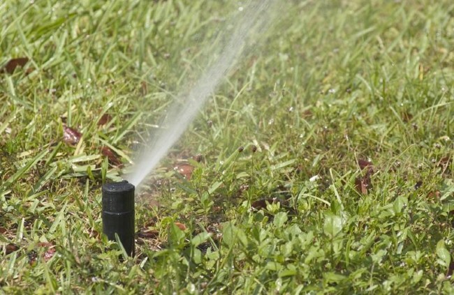 sprinkler head spraying water