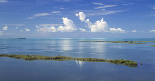 small island in a bay