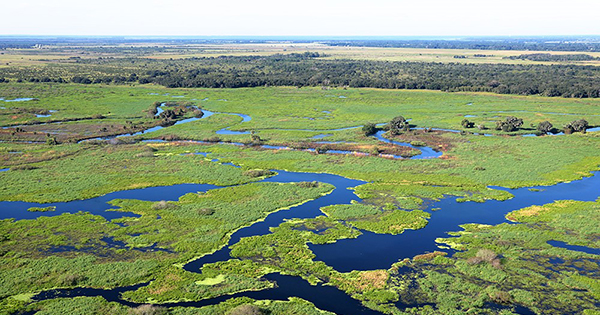 kissimmee river