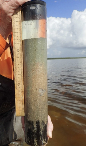 Clear cylindrical tube held upright showing layered sediments