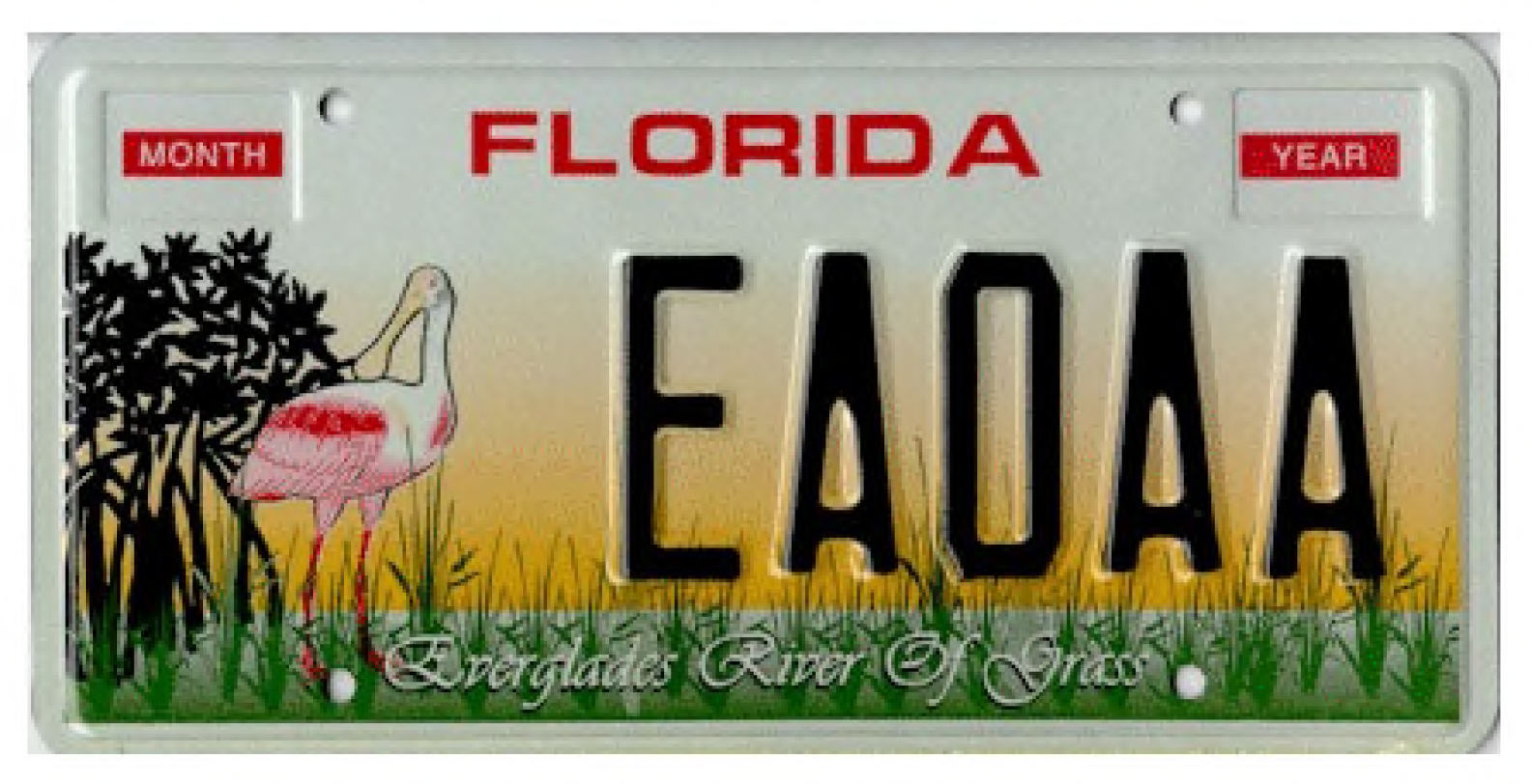 license plate