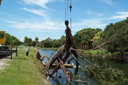 photo of a tree being pulled out of the C-100 Canal