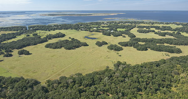 overview of lake near a forest