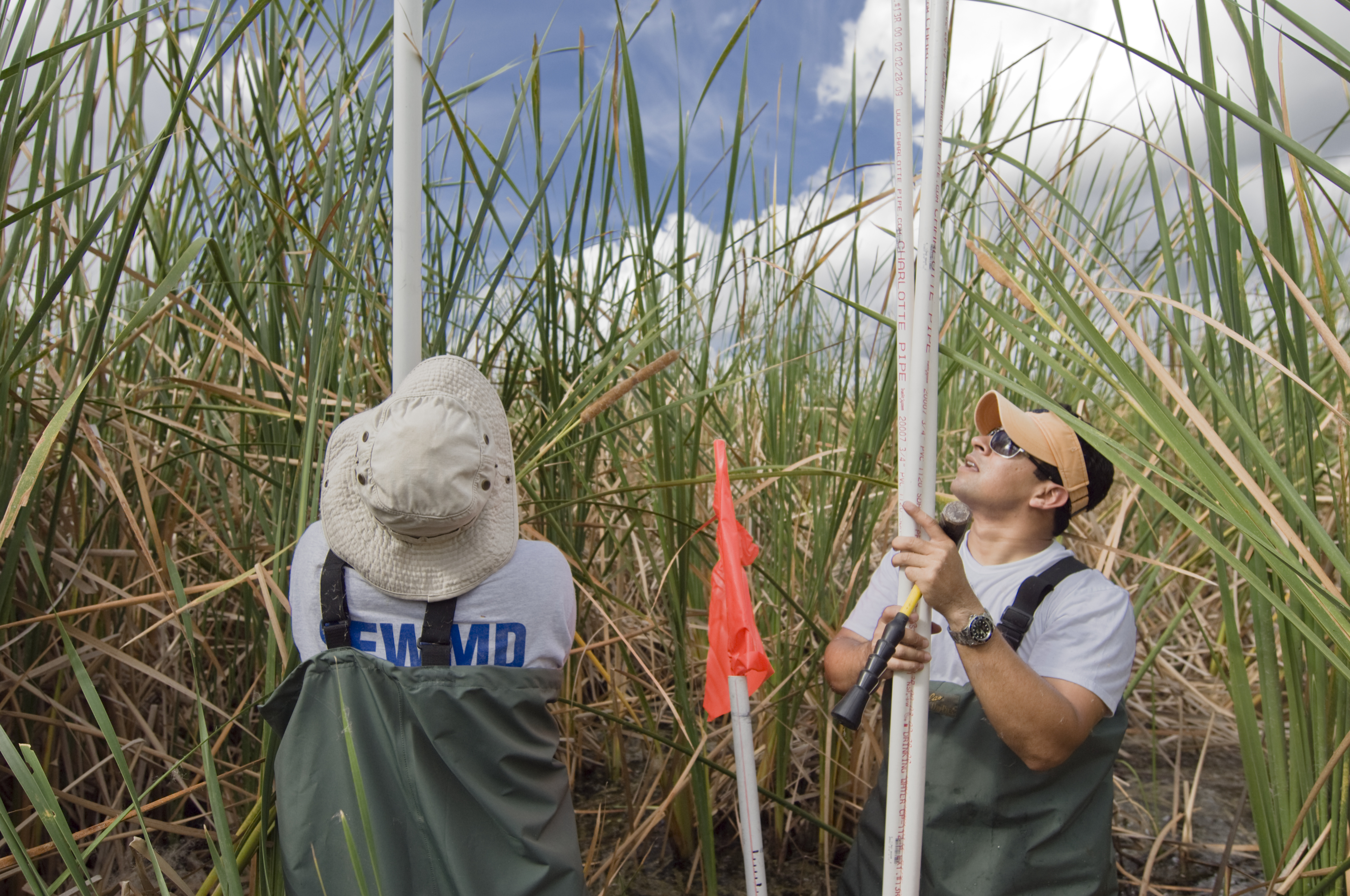 Field Workers