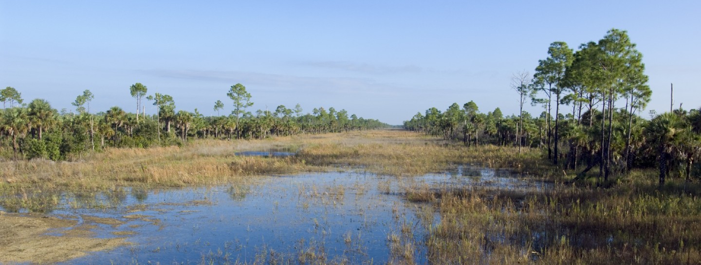 picayune strand restoration project