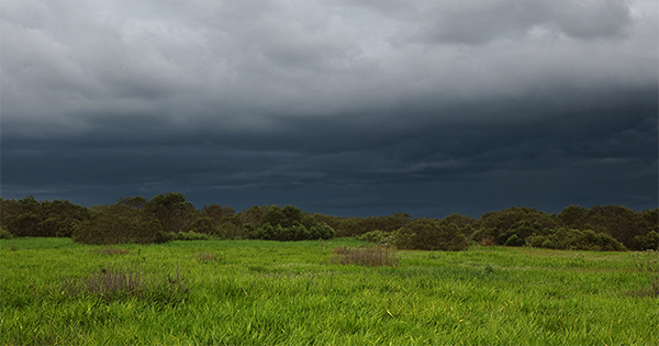 rain clouds gathering over grassy field