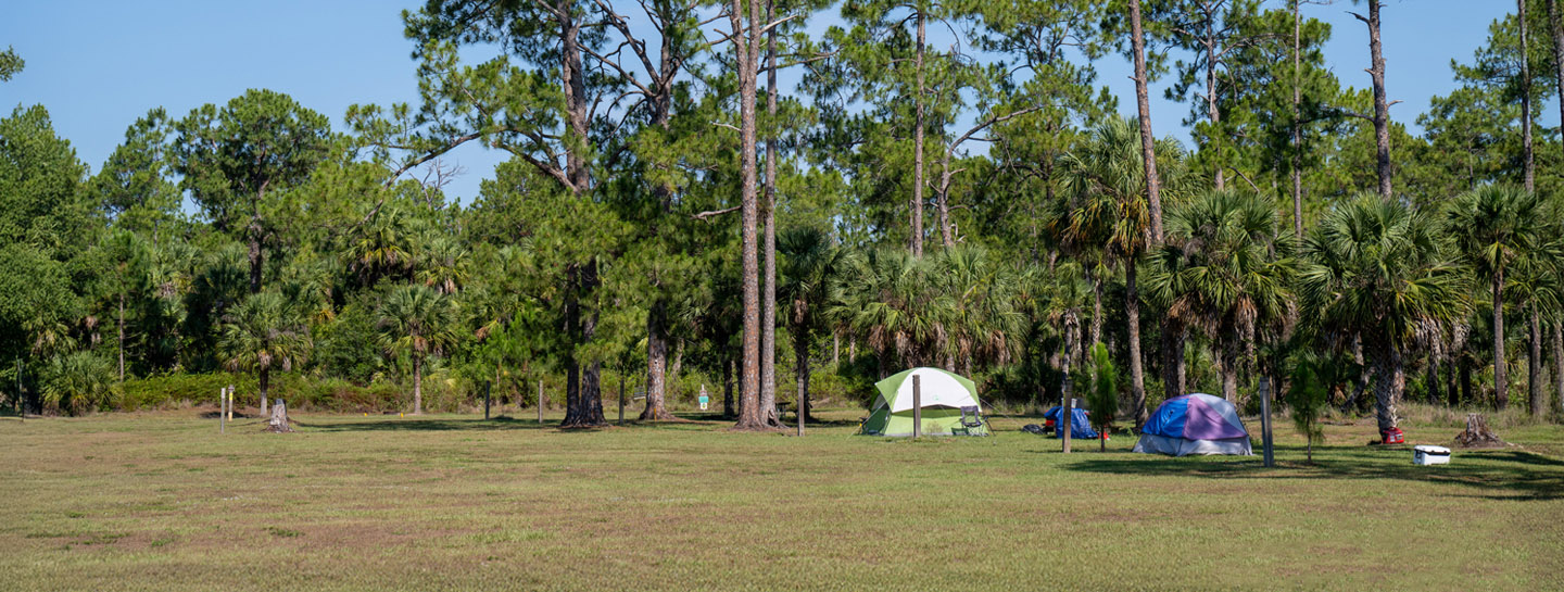 Two tents surrounded by trees