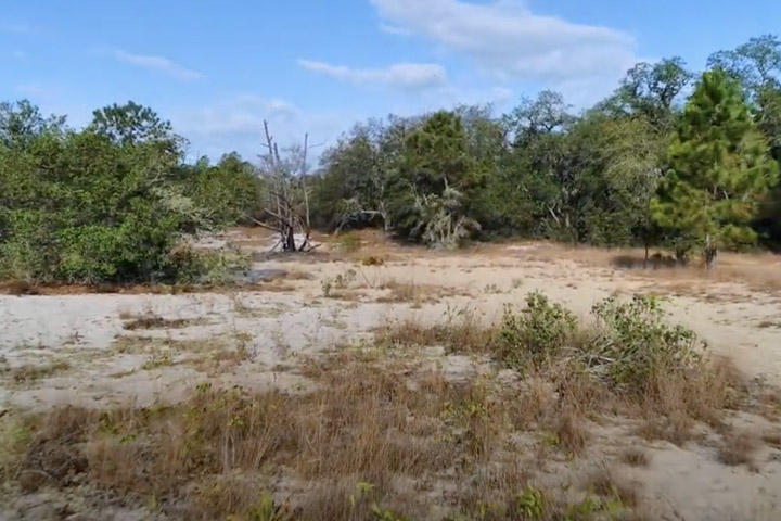 View of Horse Creek Trail, a natural hiking path surrounded by tress