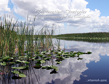 scenic Everglades