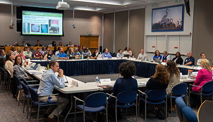 People at a Resiliency meeting