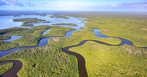 river traveling through wetland