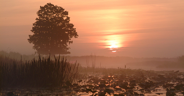 sun rising on the river