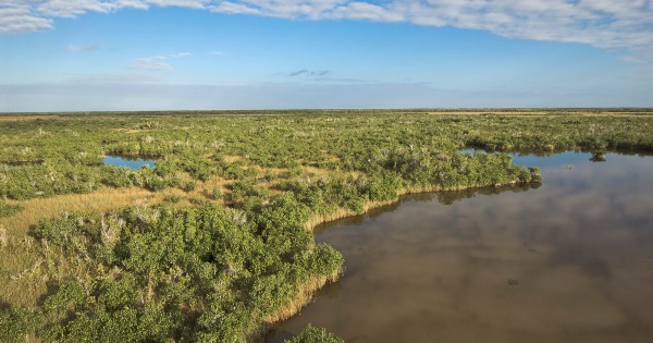 river marsh