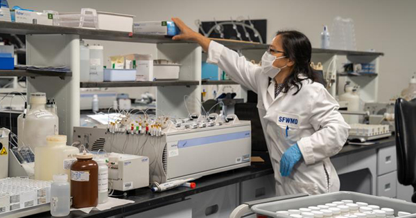Scientist working in a lab