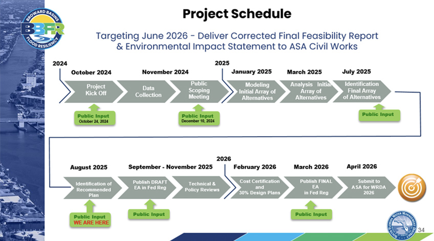 Project Milestones Graph