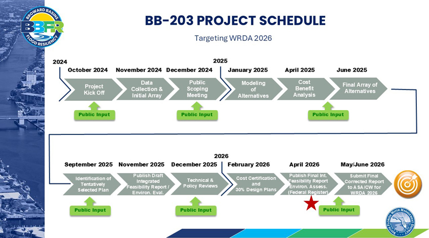 Project Milestones Graph