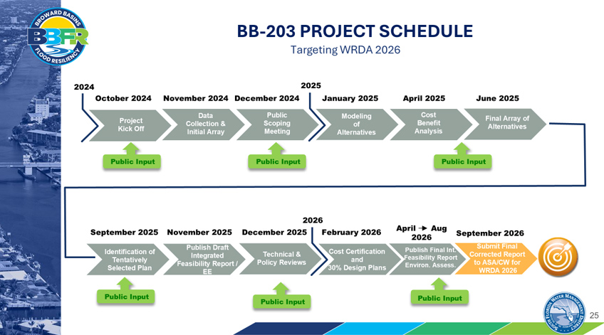 Project Milestones Graph