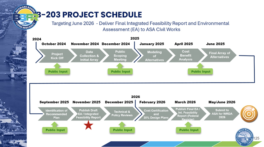 Project Milestones Graph