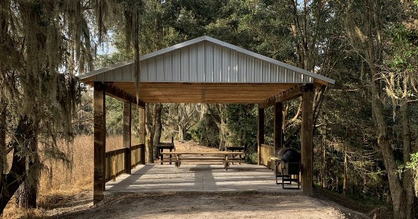 shelter in the woods