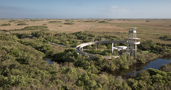 aerial view of wetland observation tower