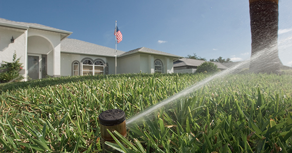sprinkler watering grass