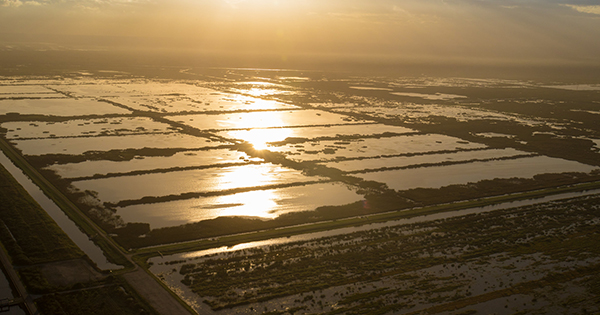 view of storm water treatment area