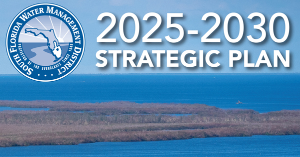 Strategic Plan 2025-2030 Cover