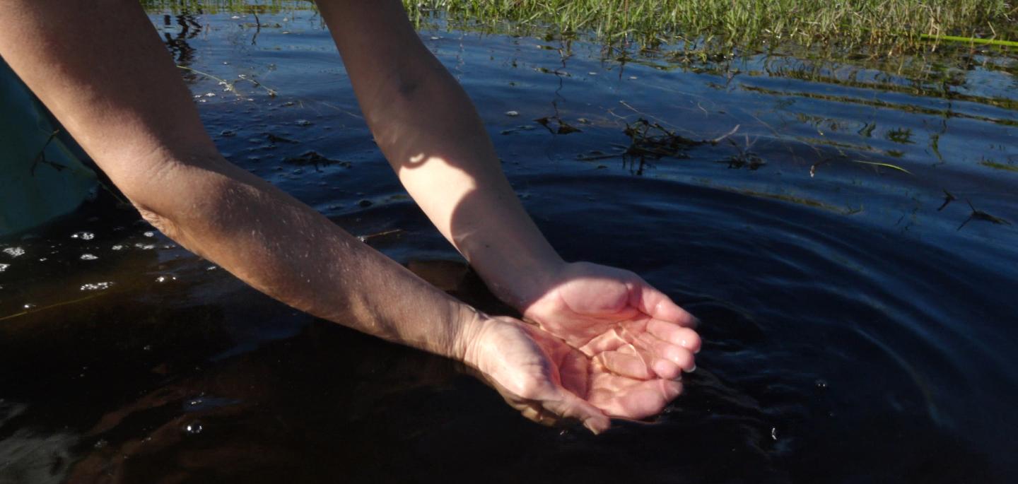 hands cupping water