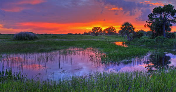 sun setting over wetland