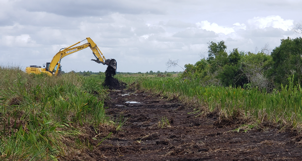 vehicle in marsh field