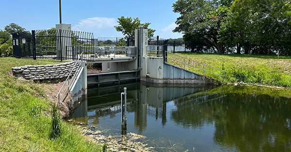 Water Structure
