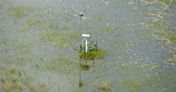 water monitor device in wetland