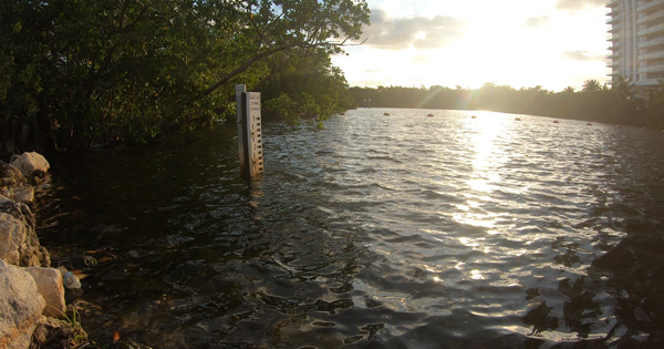 A water gauge stands in calm water at sunset
