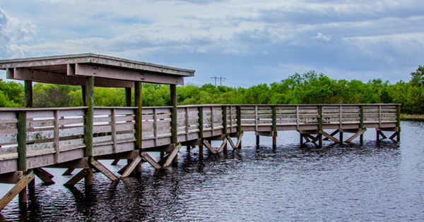 DuPuis boardwalk extending over a wetland surrounded by green vegetation.
