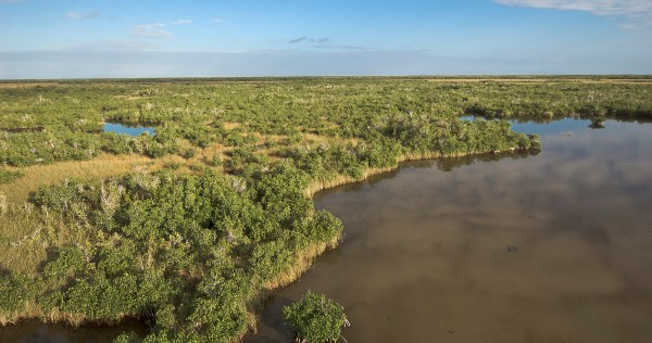 aerial view of the everglades