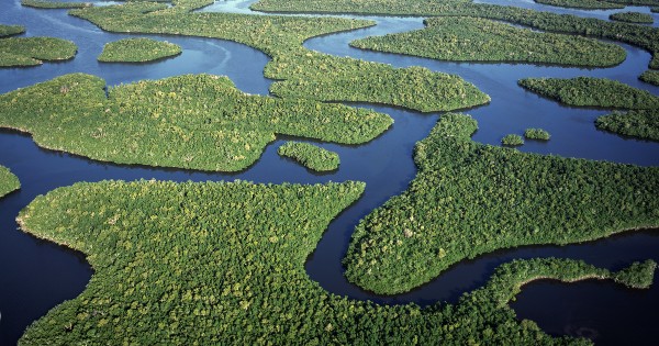 aerial view of river