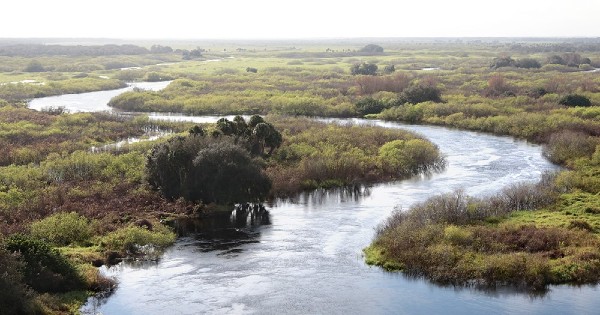 flowing river